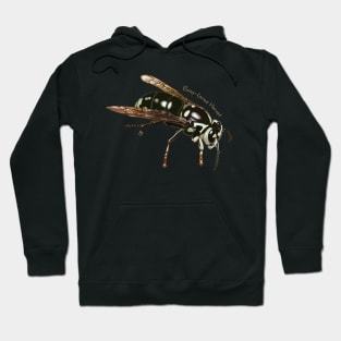 Bald-faced Hornet (a wasp, really) Hoodie